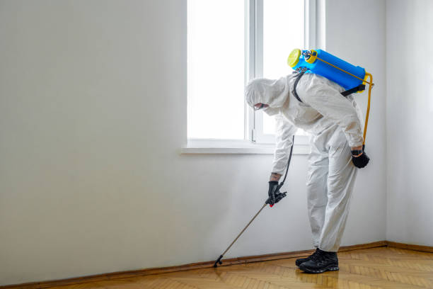 Best Commercial Pest Control  in Woodinville, WA